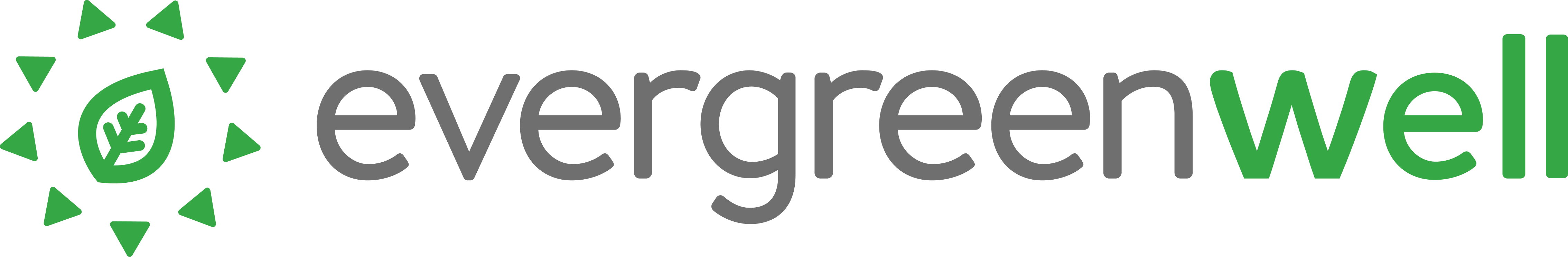 Evergreen Well