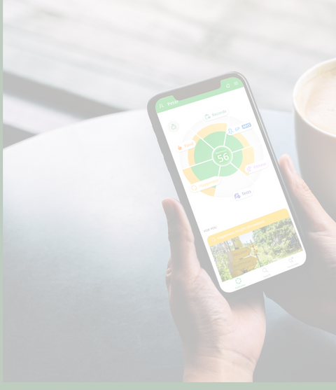 Manage your health with the Evergreen Life app